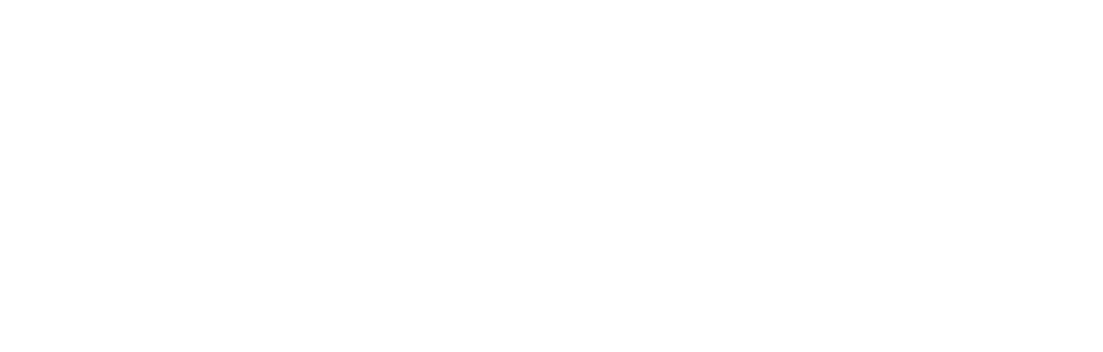 Logo White